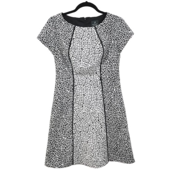 Adrianna Papell Dresses & Skirts - Adrianna Papell Black and White Illusion Dress